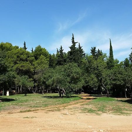 Bungalows Jurjevac Stari Grad  Bagian luar foto